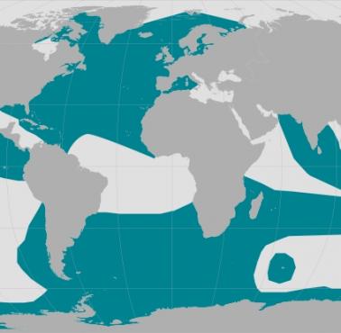 Występowanie orek (Orcinus orca) na świecie