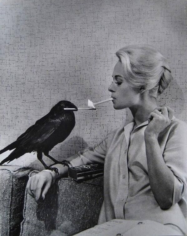 Tippi Hedren na planie filmu Ptaki (The Birds) Alfreda Hitchcocka.