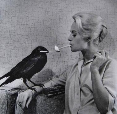 Tippi Hedren na planie filmu "Ptaki" ("The Birds") Alfreda Hitchcocka.