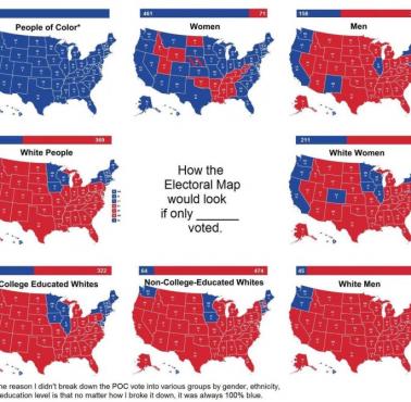 Wybory w USA. Jak rozkładają się głosy elektorskie głosy w poszczególnych stanach ze względu na kolor skóry, płeć
