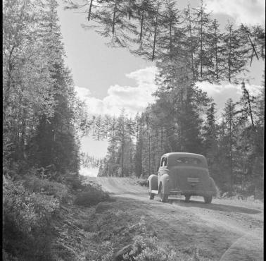 Kamuflaż drogi podczas II wojny światowej - Finlandia.