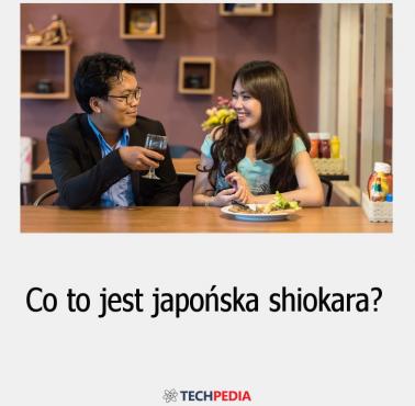 Co to jest japońska shiokara?