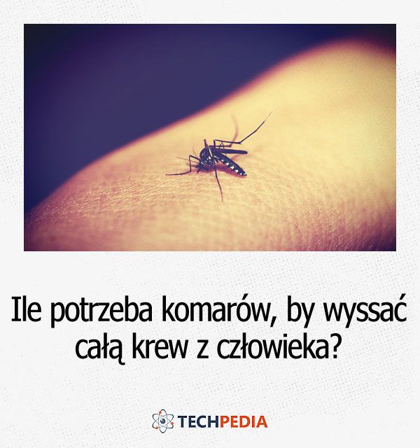 Ile potrzeba komarów, by wyssać całą krew z człowieka?