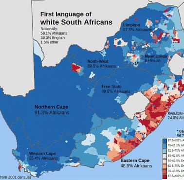 Dominunujący język w RPA