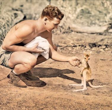 Amerykański żołnierz i malutki kangur.