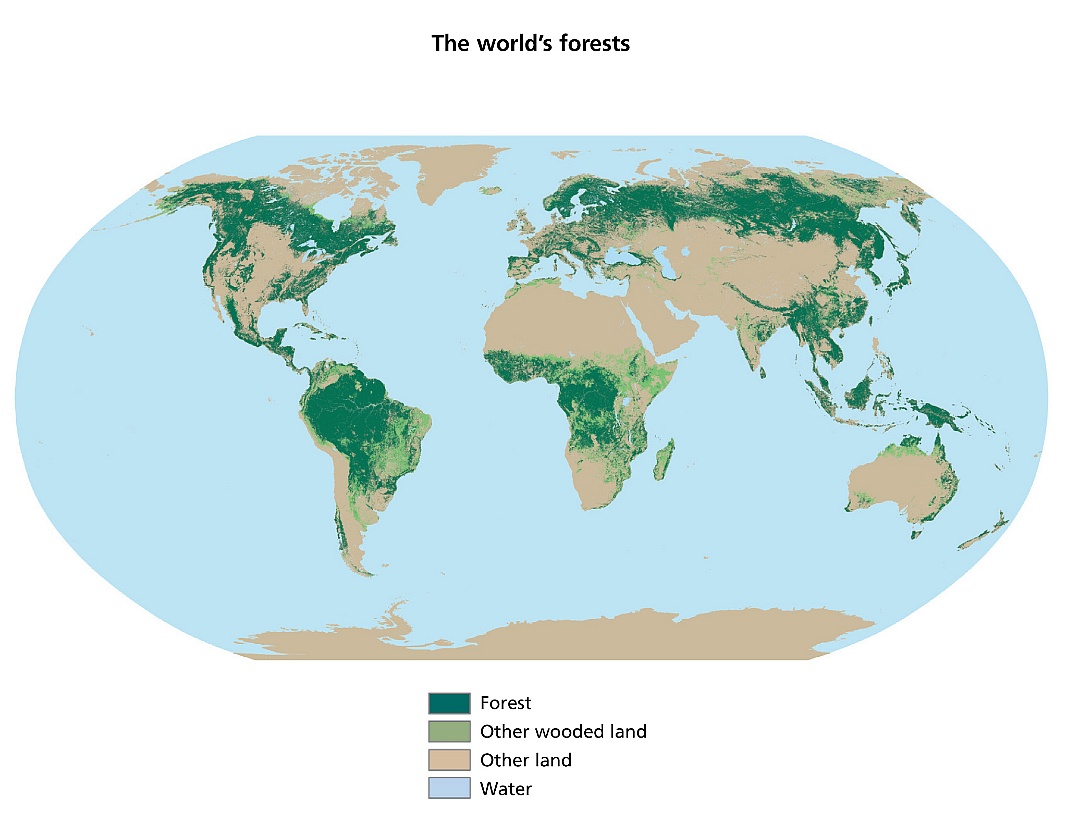 Mapa zalesienia świata