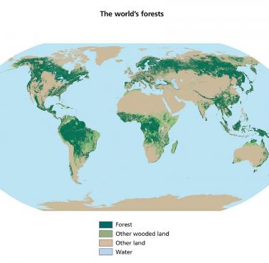 Mapa zalesienia świata