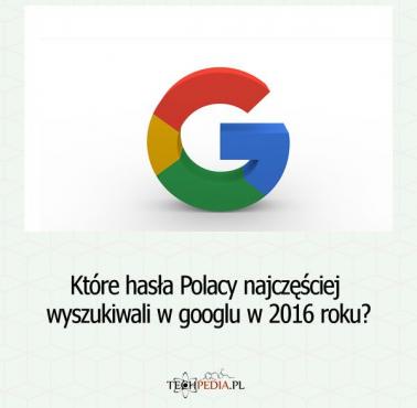 Które hasła Polacy najczęściej wyszukiwali w googlu w 2016 roku?