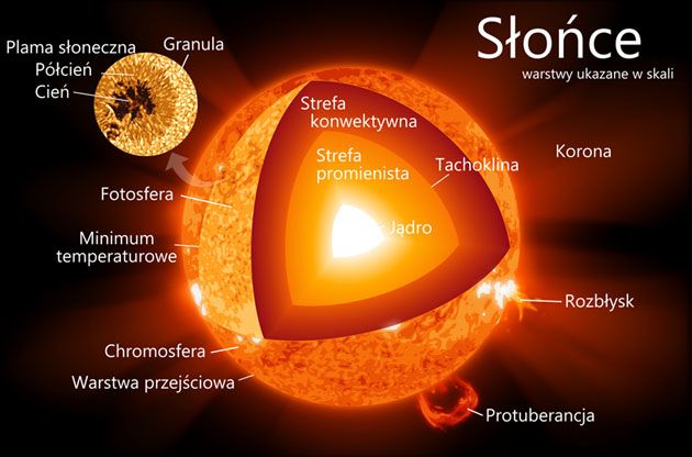Przekrój gwiazdy typu słonecznego.