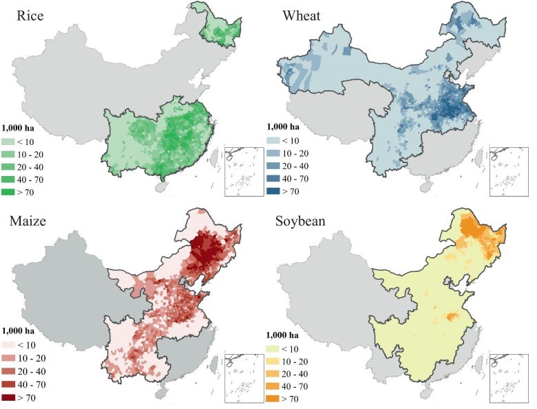 Uprawy ryżu, pszenicy, kukurydzy, soi w Chinach
