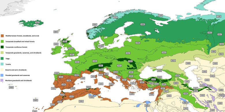 Biomy Europy i okolic