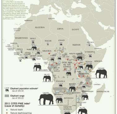 Populacja słoni w poszczególnych krajach Afryki
