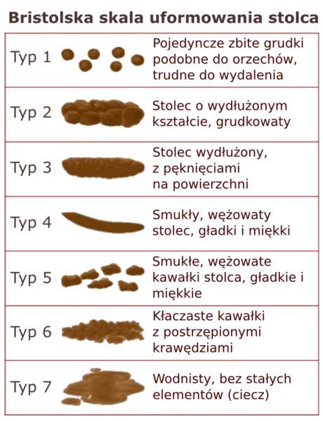 Bristolska skala uformowania stolca