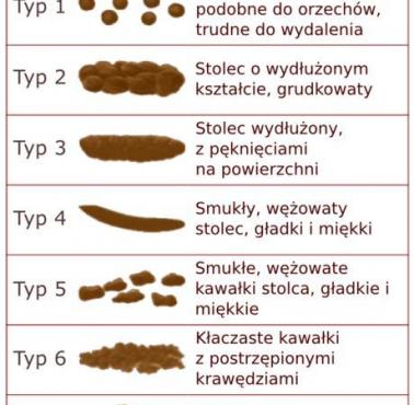 Bristolska skala uformowania stolca