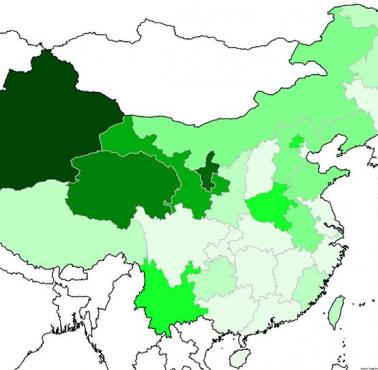 Islam w Chinach