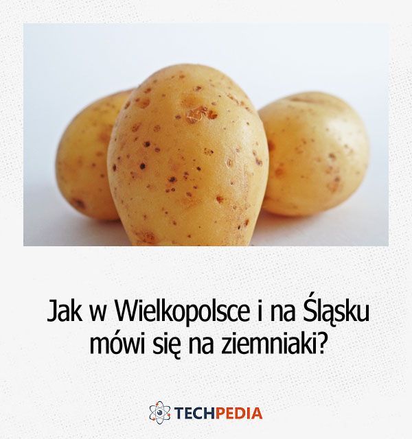 Jak w Wielkopolsce i na Śląsku mówi się na ziemniaki?
