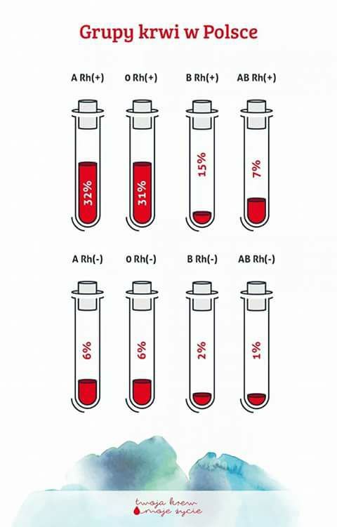 Grupy krwi i ich występowanie w Polsce