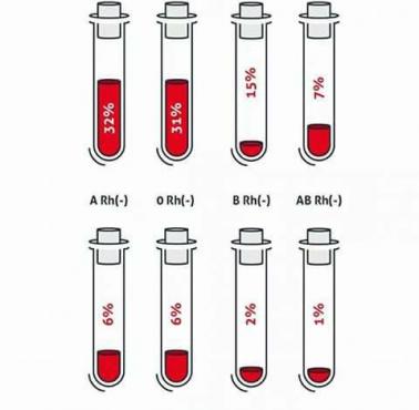 Grupy krwi i ich występowanie w Polsce