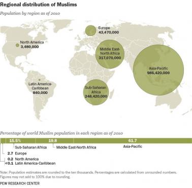 Muzułmanie na świecie, 2010