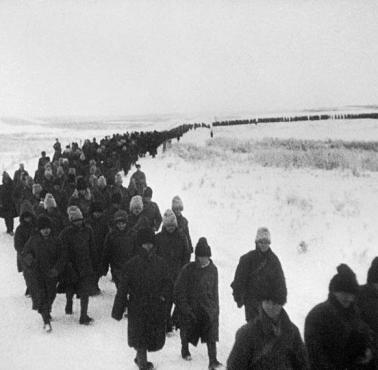 Rumuńscy żołnierze idą do sowieckiej niewoli w wyniku operacji Uran (Bitwa o Stalingrad). 