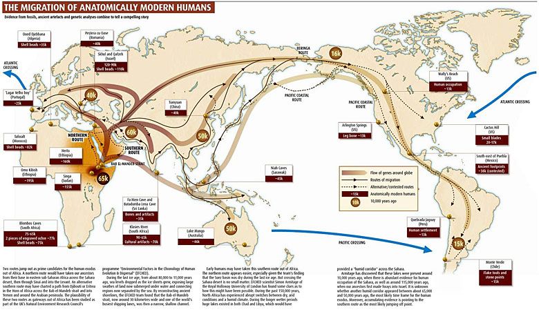 Mapa migracji człowieka w odniesieniu do dostępnych wykopalisk archeologicznych.