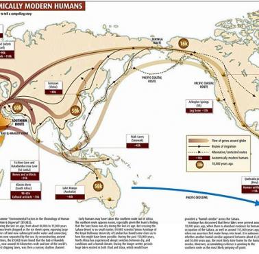 Mapa migracji człowieka w odniesieniu do dostępnych wykopalisk archeologicznych.