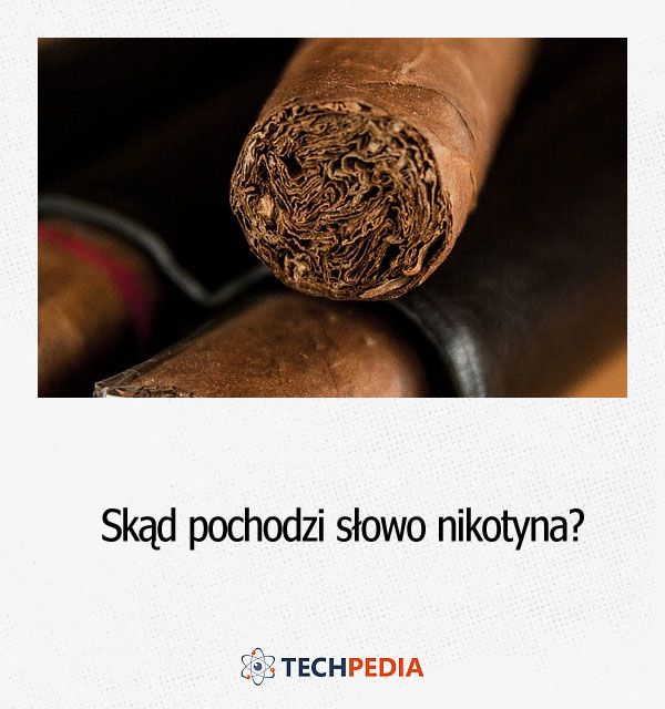 Skąd pochodzi słowo nikotyna?