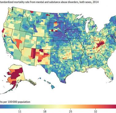 Śmierć w USA z powodu przedawkowania narkotyków (dane 2014 rok)