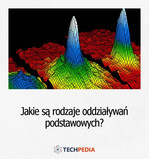 Jakie są rodzaje oddziaływań podstawowych?