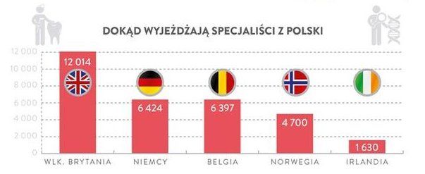 Dokąd wyjeżdżają specjaliści z Polski, czyli które państwa sponsorujemy.