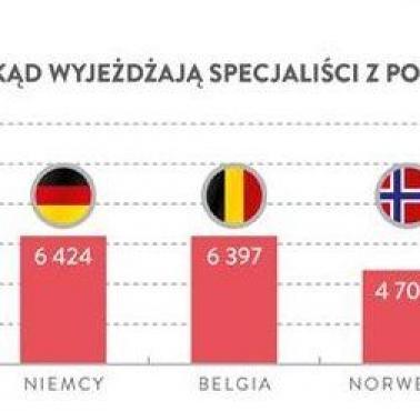 Dokąd wyjeżdżają specjaliści z Polski, czyli które państwa sponsorujemy.