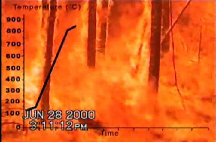 Eksperyment International Crown Fire Modeling Experiments. Kamera nagrywa pożar w środku lasu z rejestracją temperatury.