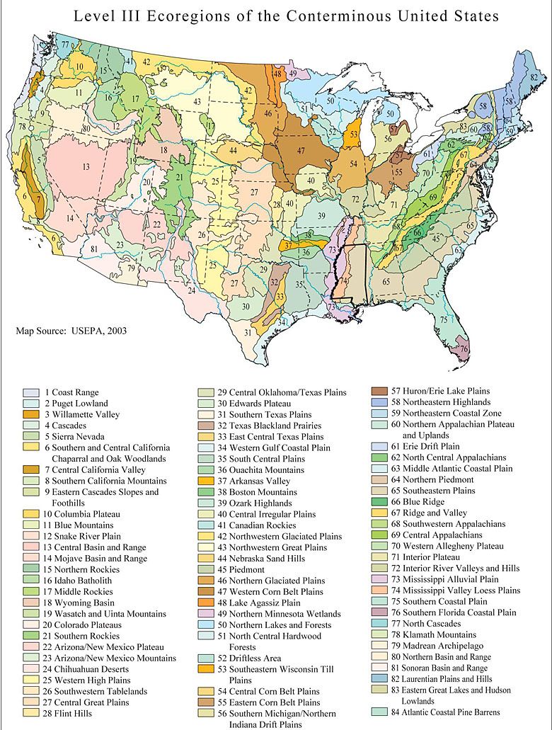 Mapa 84 ekoregionów w USA