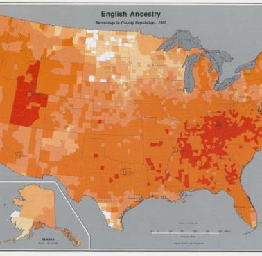 Angielskie pochodzenie w Stanach Zjednoczonych w 1980