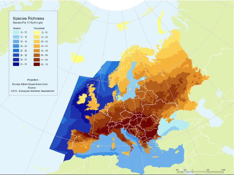 Bogactwo gatunkowe ssaków w Europie