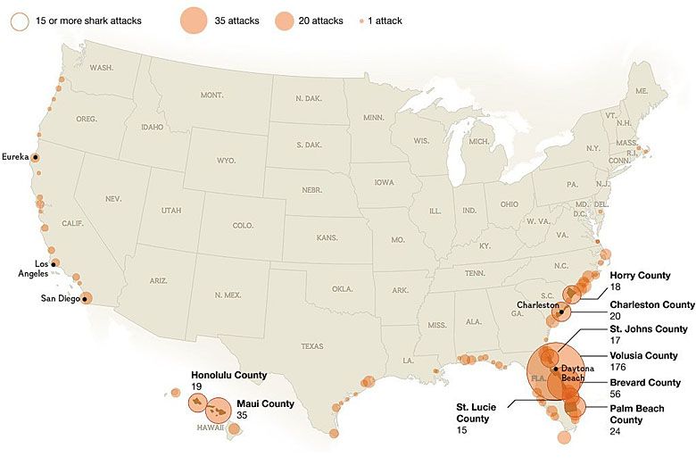 Częstotliwość ataków rekinów w USA