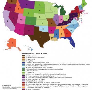 Dominujące przyczyny przedwczesnej śmierci w poszczególnych stanach USA