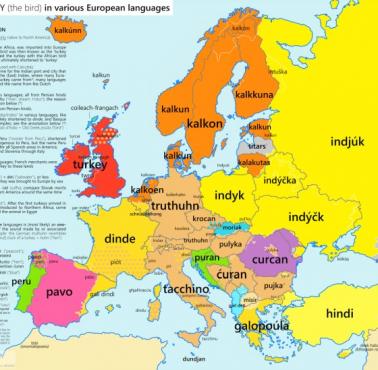 Słowo "indyk" w różnych europejskich językach