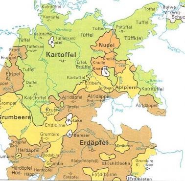 Słowo "ziemniak" w różnych niemieckich dialektach, mapa z 1945 roku.