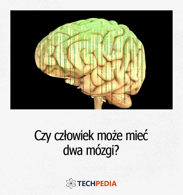 Czy człowiek może mieć dwa mózgi?