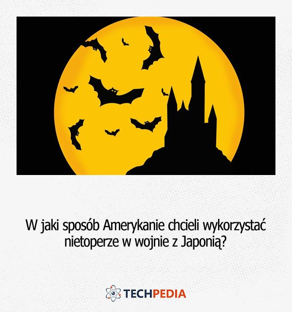 W jaki sposób Amerykanie chcieli wykorzystać nietoperze w wojnie z Japonią?