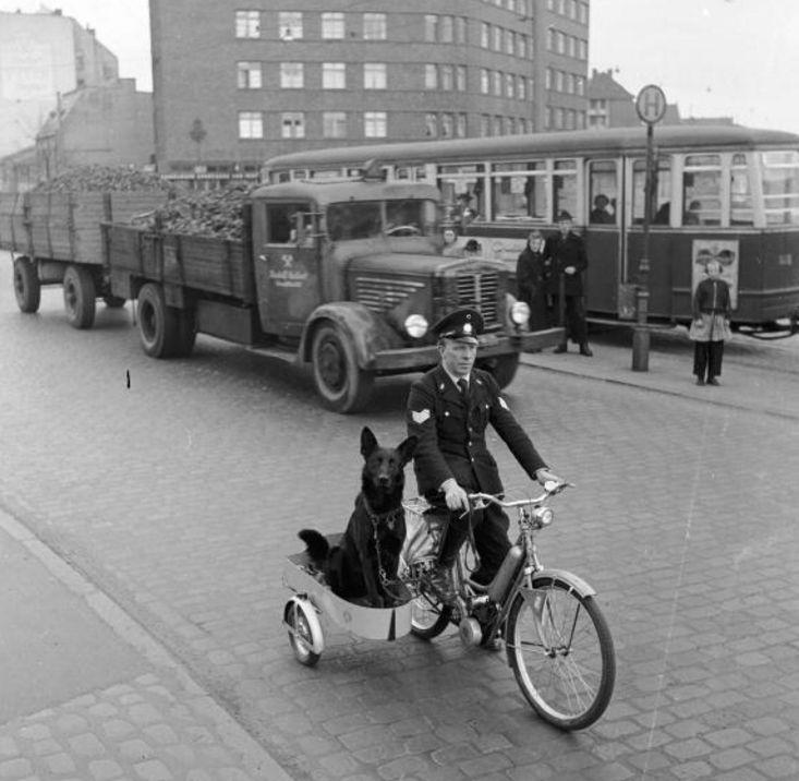 Policjant z psem na patrolu (Hamburg)