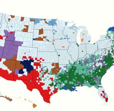 Etno-rasowa mapa USA