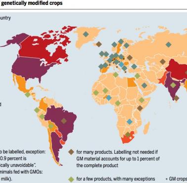 Przepisy dotyczące GMO i całkowita ilość upraw GMO w poszczególnych krajach