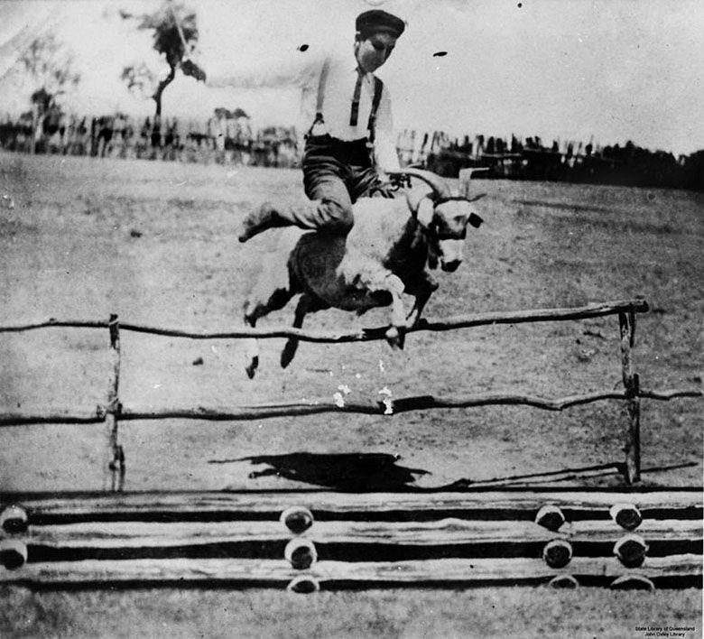 Roy Dunn ustanawia rekord skoku na koźle (Queensland, Australia).