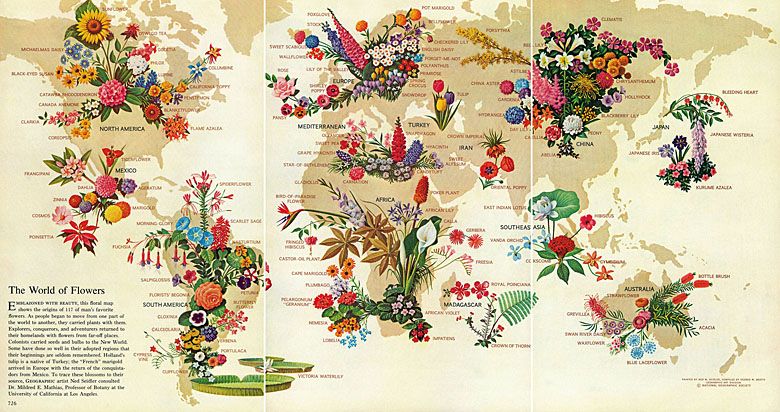 Mapa kwiatów całego świata z 1968 roku