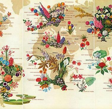 Mapa kwiatów całego świata z 1968 roku