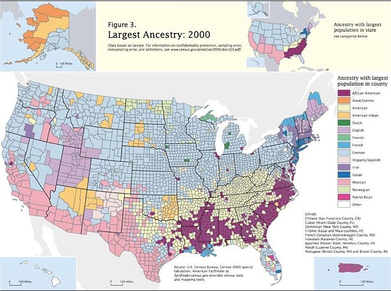 Mapa etniczna USA, 2000