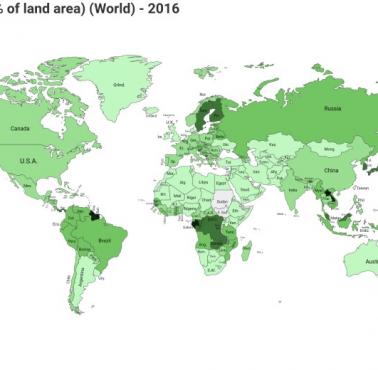 Państwa z największym procentem lasów, 2016