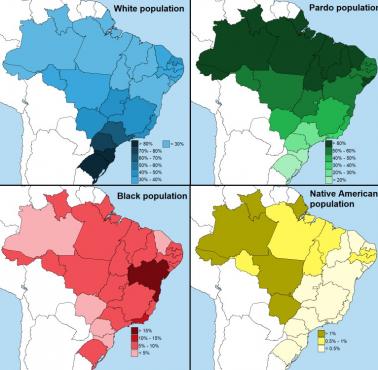 Rasowa mapa Brazylii